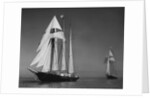 Schooners Sir Winston Churchill and Malcolm Miller by Anonymous