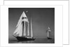 Schooners Sir Winston Churchill and Malcolm Miller by Anonymous
