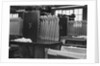 Stockings at a Clothing Factory by Anonymous