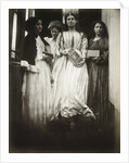 The Princess by Julia Margaret Cameron