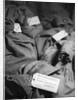 Bags of Censored Wartime Mail by Anonymous