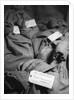 Bags of Censored Wartime Mail by Anonymous