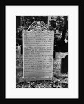 Pioneer's Epitaph by Anonymous