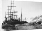 Whaler and Dead Whales by Anonymous