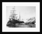 Whaler and Dead Whales by Anonymous