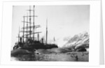 Whaler and Dead Whales by Anonymous
