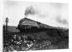 Queen Elizabeth Locomotive by Anonymous