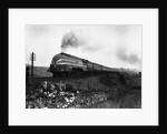 Queen Elizabeth Locomotive by Anonymous