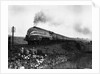 Queen Elizabeth Locomotive by Anonymous