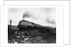 Queen Elizabeth Locomotive by Anonymous