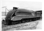 Mallard Locomotive by Anonymous