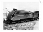 Mallard Locomotive by Anonymous
