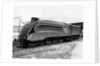 Mallard Locomotive by Anonymous