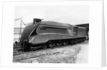 Mallard Locomotive by Anonymous