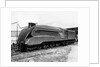 Mallard Locomotive by Anonymous
