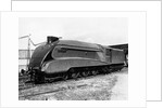 Mallard Locomotive by Anonymous