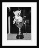 Siamese Kitten in a Trophy Cup by Anonymous