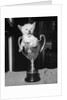 Siamese Kitten in a Trophy Cup by Anonymous