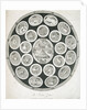 Early 19th-Century Print Depicting The Indian Zodiac by Anonymous