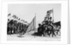 Egyptian Cavalry Rehearse Investiture Parade by Anonymous