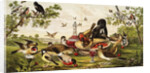 Color Print of Birds Feasting on a Fruit Pie by Anonymous