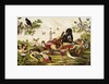 Color Print of Birds Feasting on a Fruit Pie by Anonymous