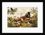 Color Print of Birds Feasting on a Fruit Pie by Anonymous