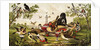 Color Print of Birds Feasting on a Fruit Pie by Anonymous