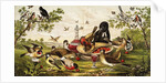 Color Print of Birds Feasting on a Fruit Pie by Anonymous