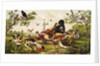 Color Print of Birds Feasting on a Fruit Pie by Anonymous