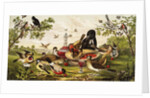 Color Print of Birds Feasting on a Fruit Pie by Anonymous