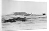 Missiles on Transporters in Desert During Yom Kippur War by Anonymous