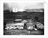 Eruption of Kilauea near Kapoho Plantation by Anonymous