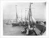 Sailing Yachts at Ramsgate by Anonymous