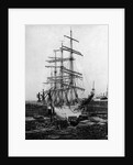 Sailing Ship S.S. Viking by Anonymous