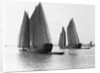 Junks on the Yangtze River by Anonymous