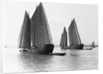 Junks on the Yangtze River by Anonymous