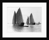 Junks on the Yangtze River by Anonymous