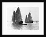Junks on the Yangtze River by Anonymous