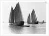 Junks on the Yangtze River by Anonymous