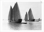 Junks on the Yangtze River by Anonymous