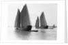 Junks on the Yangtze River by Anonymous