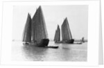 Junks on the Yangtze River by Anonymous