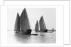 Junks on the Yangtze River by Anonymous