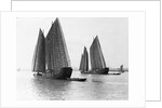 Junks on the Yangtze River by Anonymous