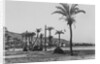 View of Haifa Through Palms by Anonymous