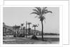 View of Haifa Through Palms by Anonymous