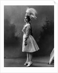 The Belle of New York by Anonymous