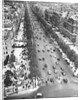 Tree Lined Street by Anonymous