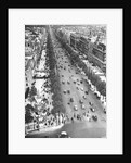 Tree Lined Street by Anonymous